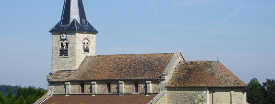 Photo_1.JPG